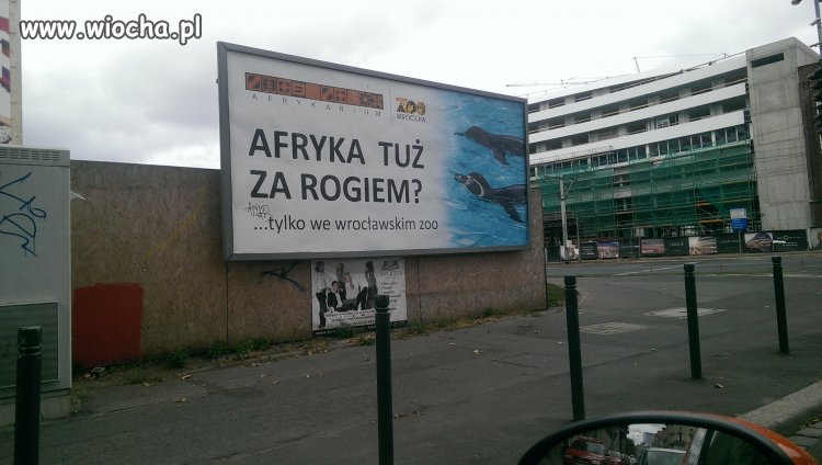 Przy takiej inwazji uchodźców ta reklama nabiera...