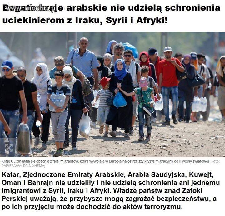 Mają rację, niech spadają z powrotem do siebie!