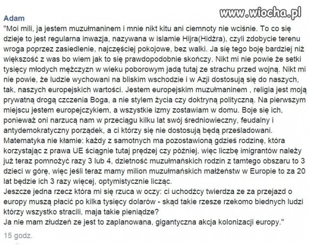Europejski muzułmanin na temat fali imigrantów