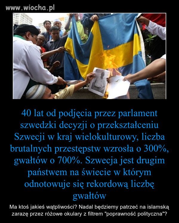 Islamscy emigranci cofają w rozwoju cywilizacyjnym