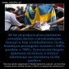 Islamscy emigranci cofają w rozwoju cywilizacyjnym