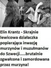 Przestroga dla naiwniaków