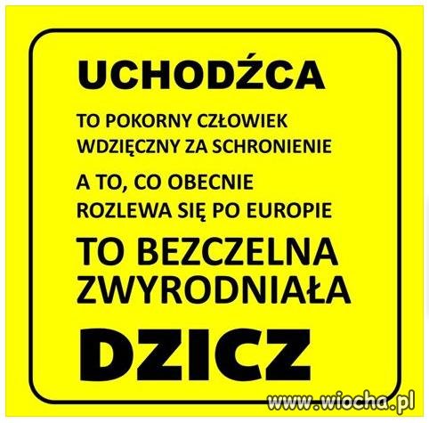Znaczenie słowa UCHODŹCA 