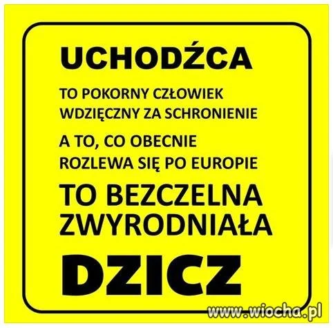 Znaczenie słowa UCHODŹCA 
