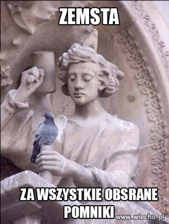 Zemsta 
