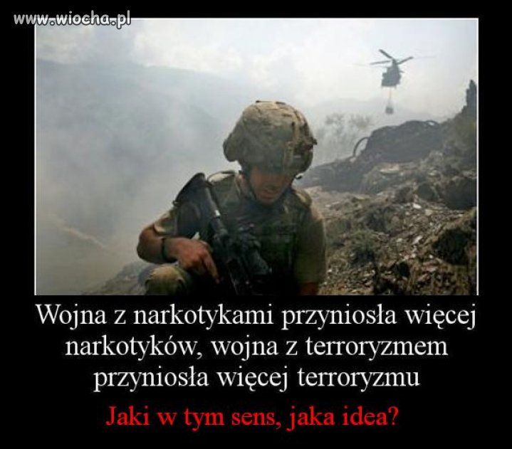 Jaki sens, jaki cel? 