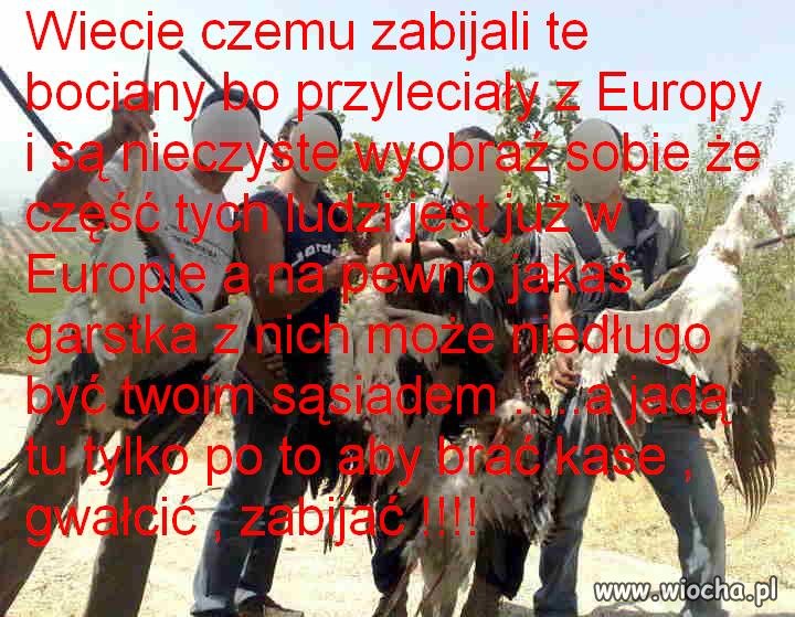 To było ostrzeżenie 