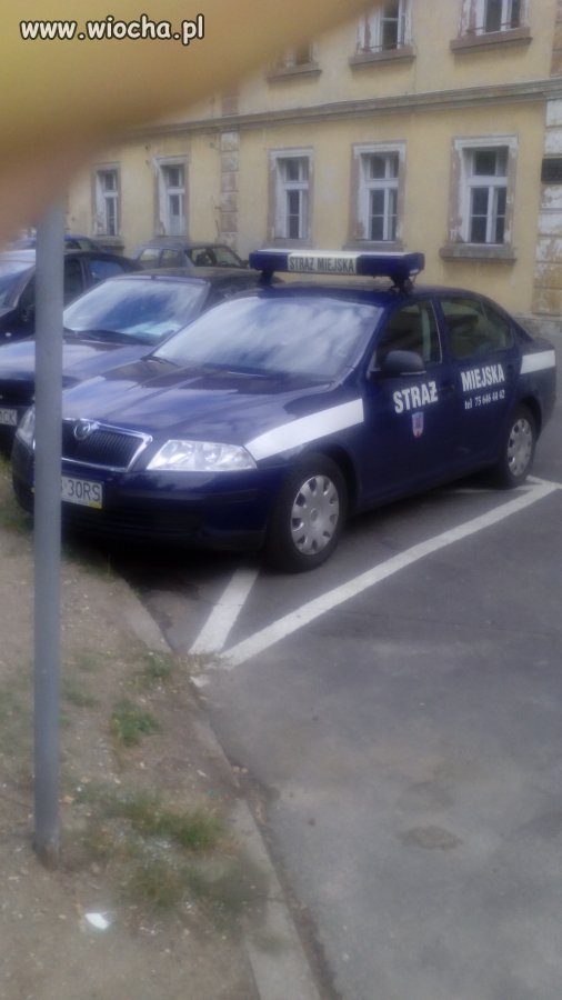 Brak jakichkolwiek zasad. 