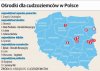 Gdzie PO ulokuje imigrantów.