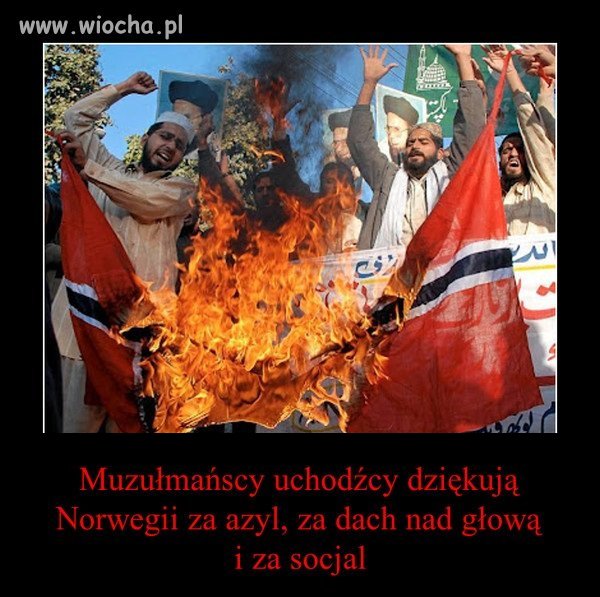 Przecież to jest karygodne i chore