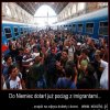 Imigranci