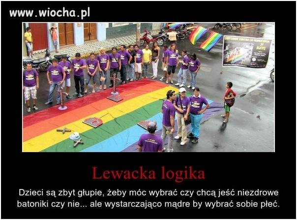 Lewacka logika
