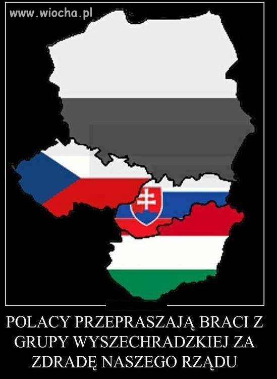 POLACY PRZEPRASZAJĄ