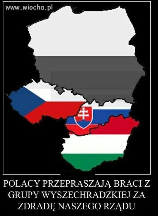 POLACY PRZEPRASZAJĄ
