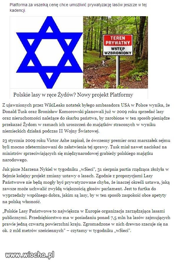 Lasy dla Żydów domy i praca dla Islamistów
