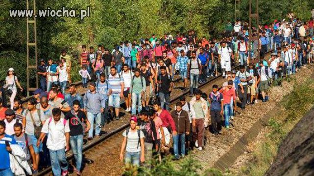 Polska powinna przyjąć uchodźców, nie imigrantów,