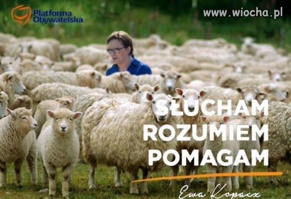 Kto che być baranem?