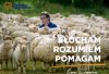 Kto che być baranem?
