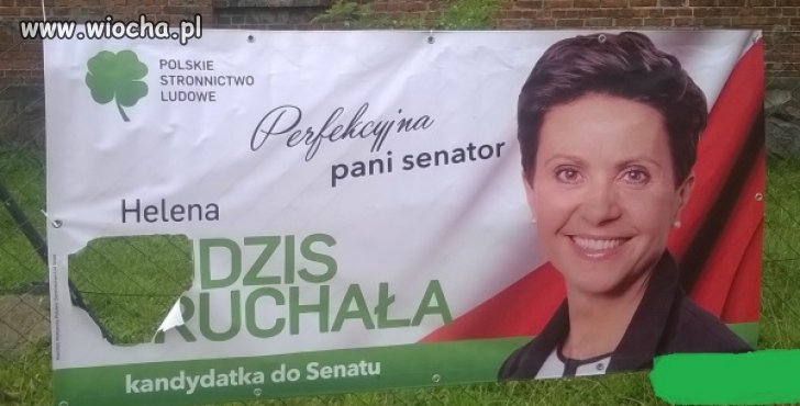 Pasuje do PSL-u.