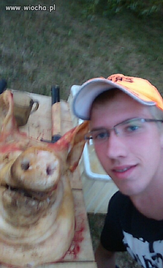Selfie ze świnią 