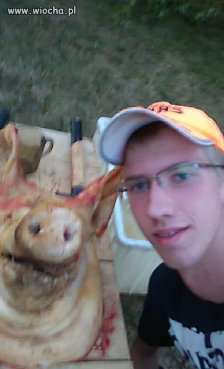 Selfie ze świnią 