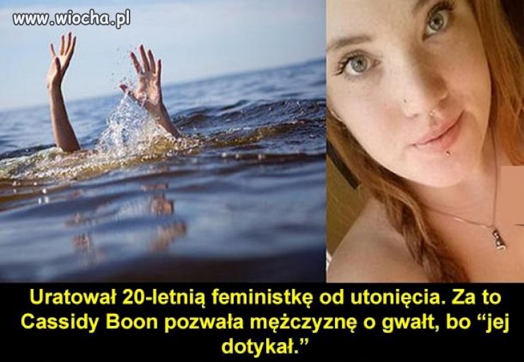 Feminizm, czy głupota? 