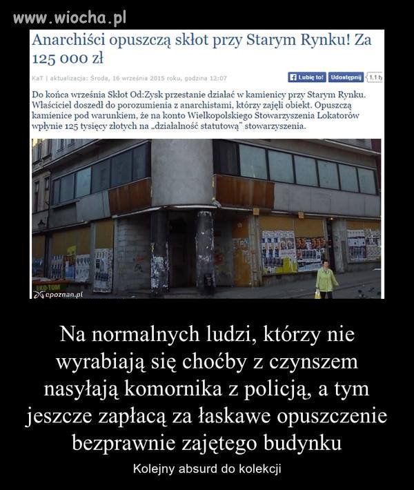 Kolejny absurd do kolekcji...