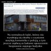 Kolejny absurd do kolekcji...