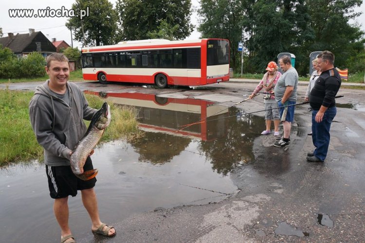 Polskie drogi.