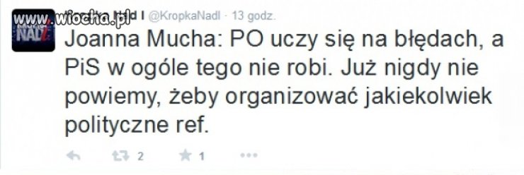 Mucha - brakujące ogniwo w teorii Darwina.