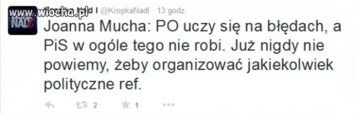 Mucha - brakujące ogniwo w teorii Darwina.