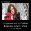 Trzeba powiedzieć KE, że przypomniało nam się