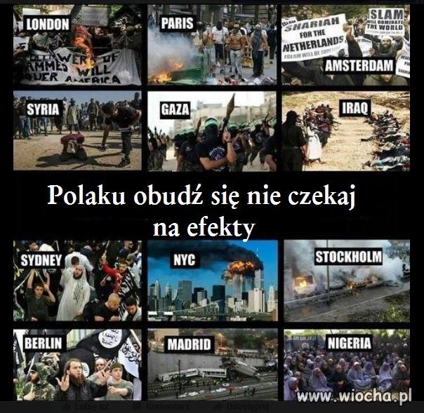 Polsko obudź się nie czekaj na efekty.