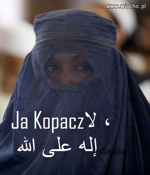 Ej nie poznajesz? 2016 rok opozycja i jej program!
