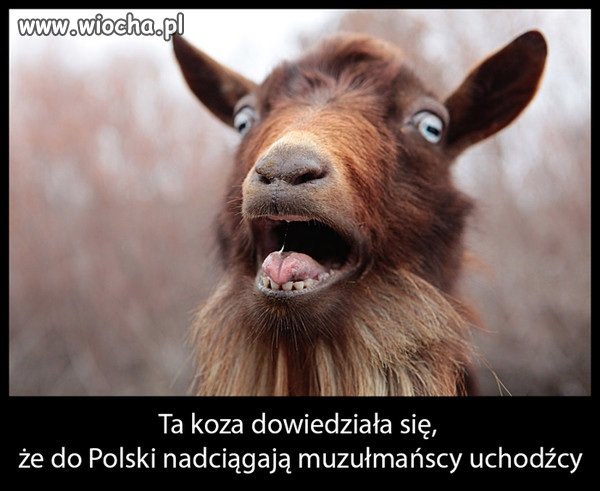 Ma się czego bać