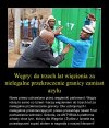Ciekawe kiedy to wprowadzą u nas 