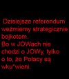 Strategia na referendum