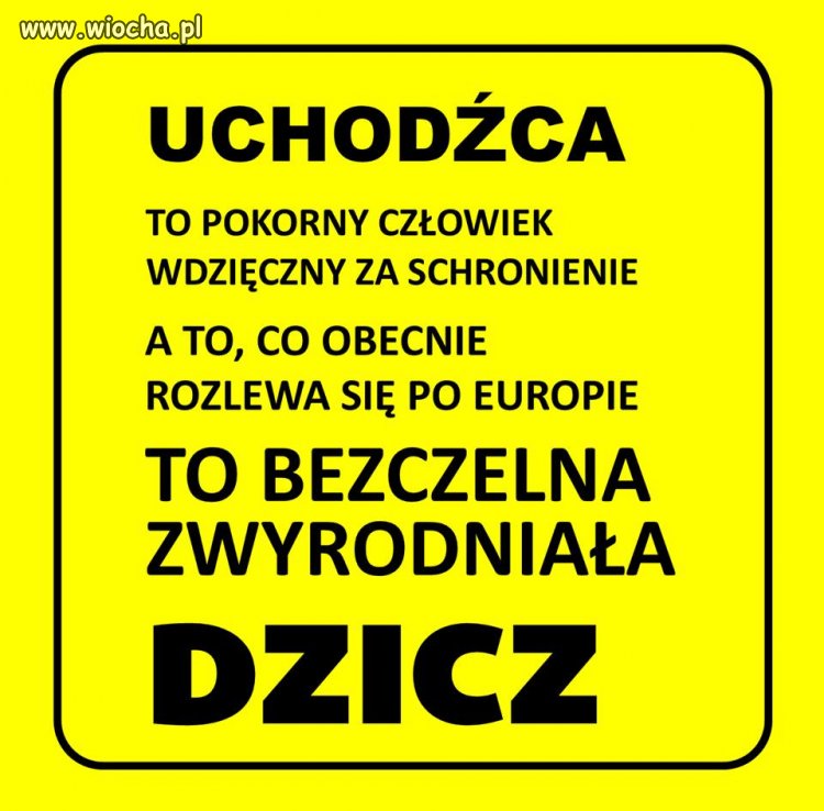 Dokładnie tak 