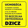 Dokładnie tak 