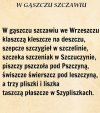 Tekst poniżej, powinien być obowiązkowy dla ...