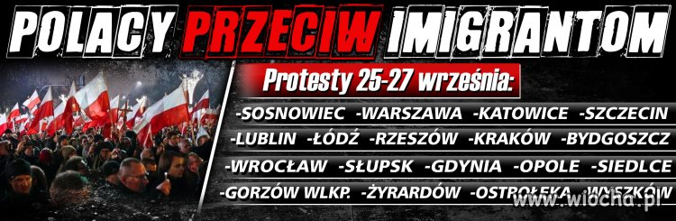 Wpisy na wiocha.pl nie wystarczą