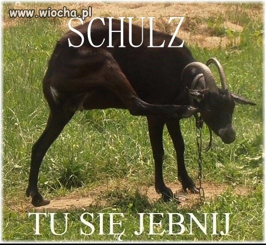 Kilka słów od kozy Matyldy