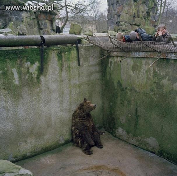 Zoo w Kaliningradzie