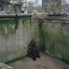 Zoo w Kaliningradzie