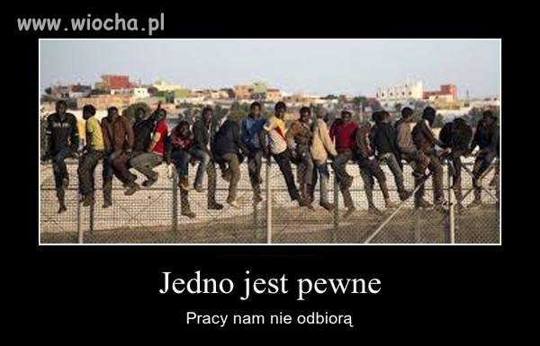 Twoje podatki idą na ich utrzymanie.