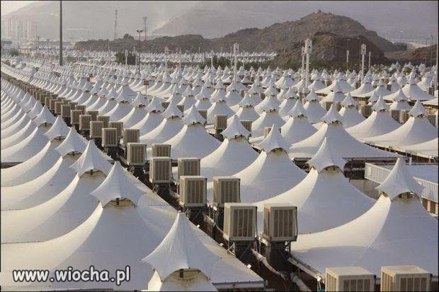Imigranci pchają się do Europy, podczas gdy w... 