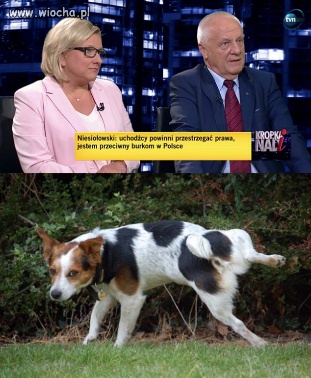 Tego jeszcze nie grali