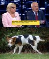 Tego jeszcze nie grali