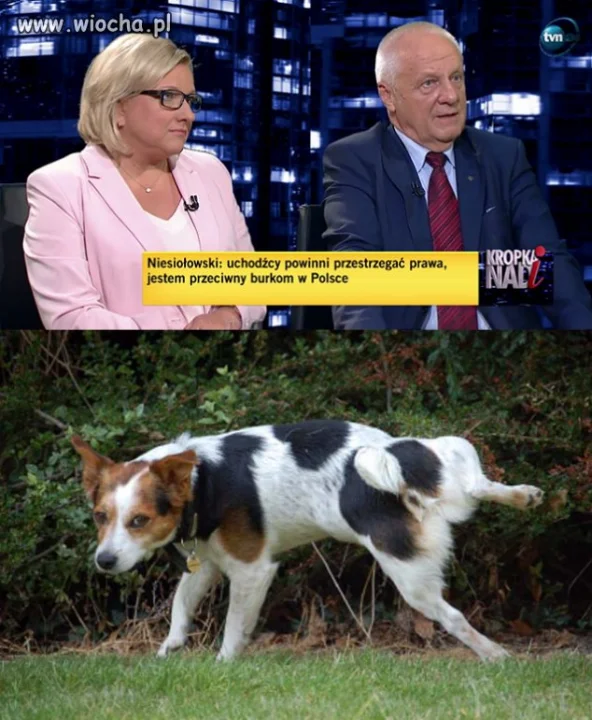 Tego jeszcze nie grali