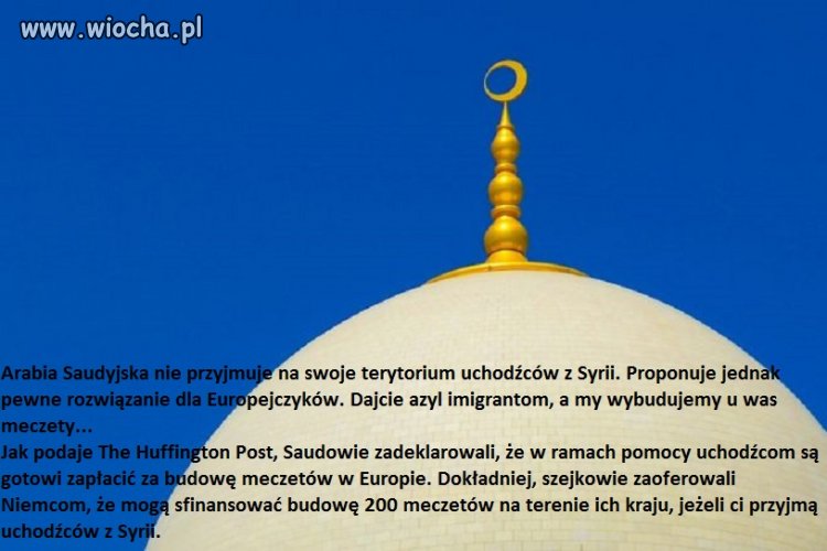 To już nie imigracja, to podbój !